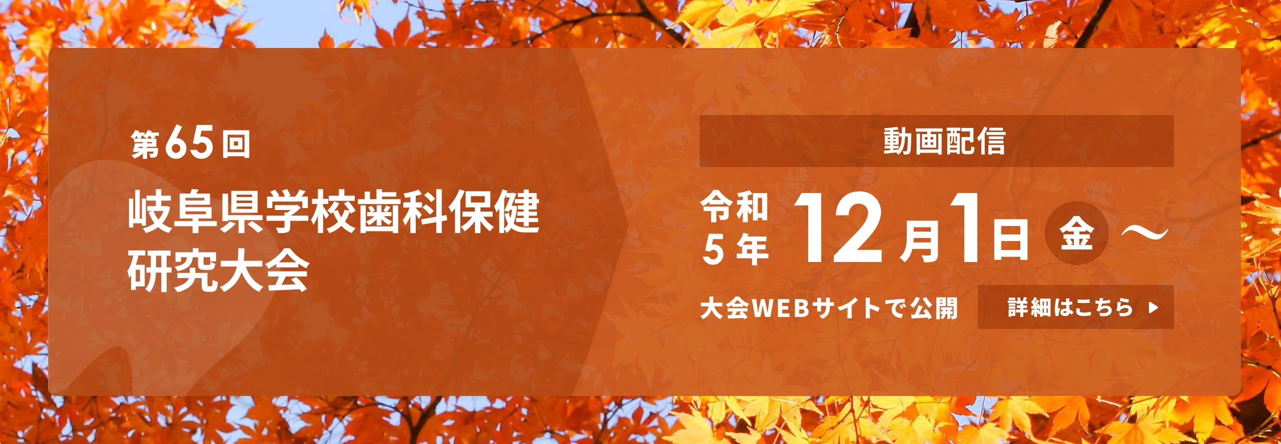 第65回 岐阜県学校歯科保健研究大会 令和5年 12月1日（金）〜 大会ウェブサイトで公開 詳しくはこちら
